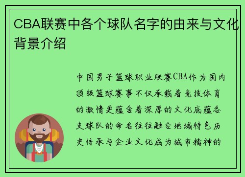 CBA联赛中各个球队名字的由来与文化背景介绍