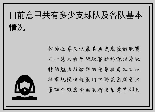 目前意甲共有多少支球队及各队基本情况